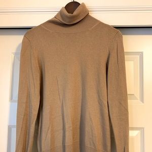 Banana Republic Factory Turtleneck Sweater